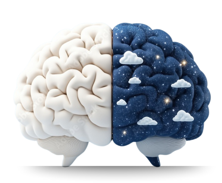 brainSleep